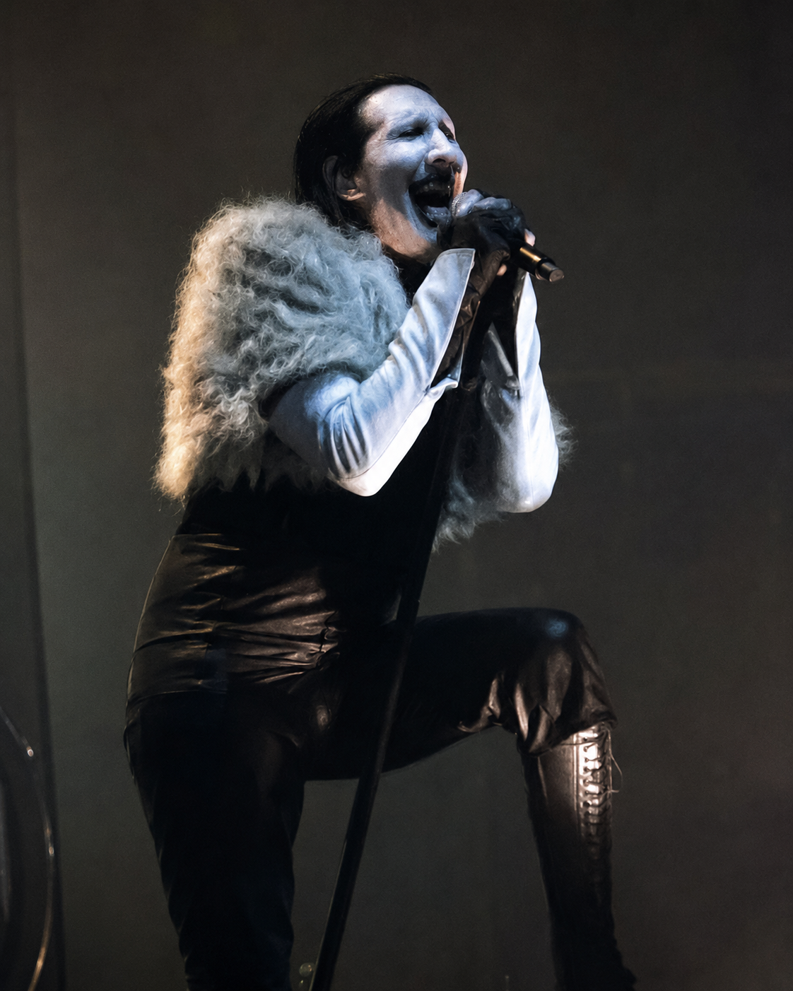 Marilyn Manson live at Darien Lake concert photo 28