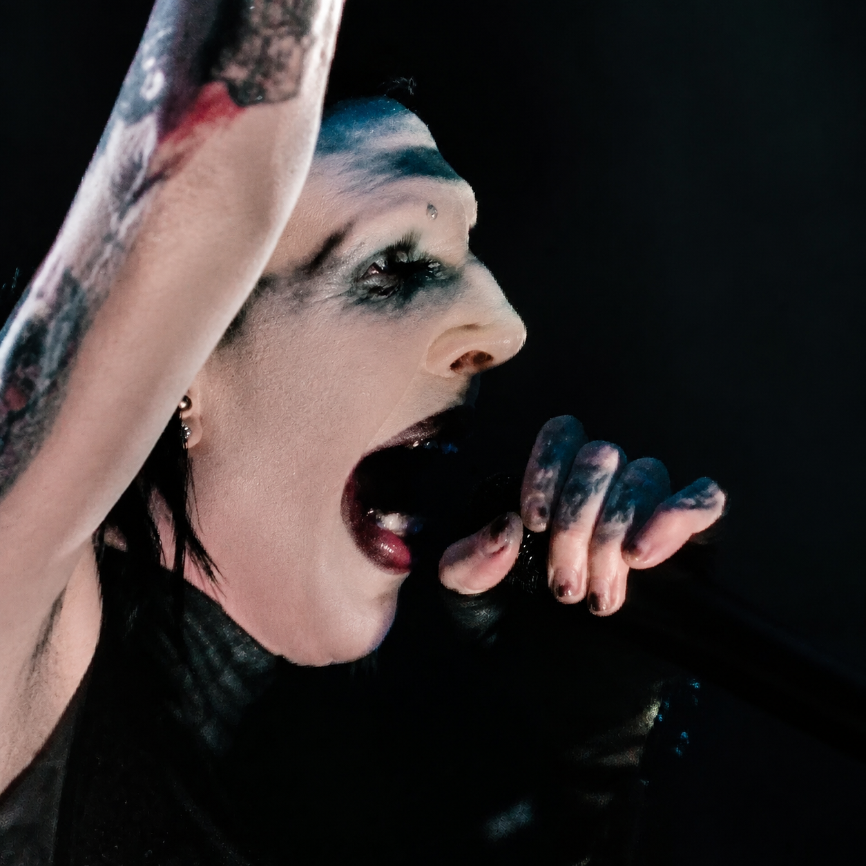 Marilyn Manson live at Darien Lake concert photo 33