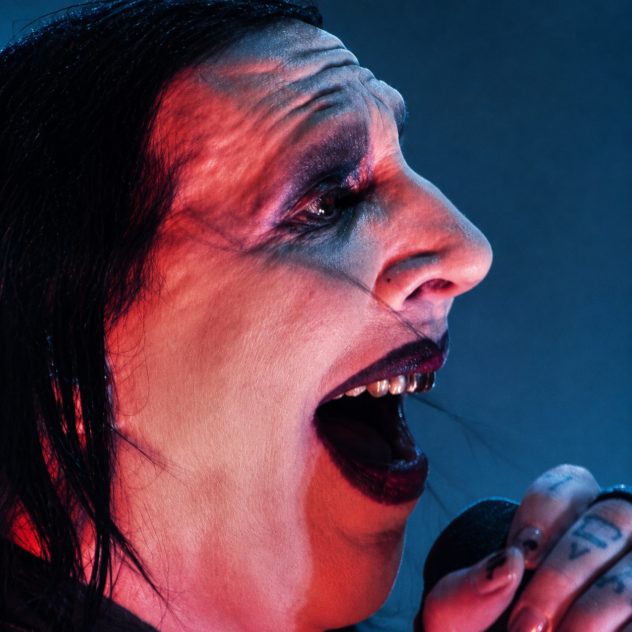 Marilyn Manson live at Darien Lake concert photo 54