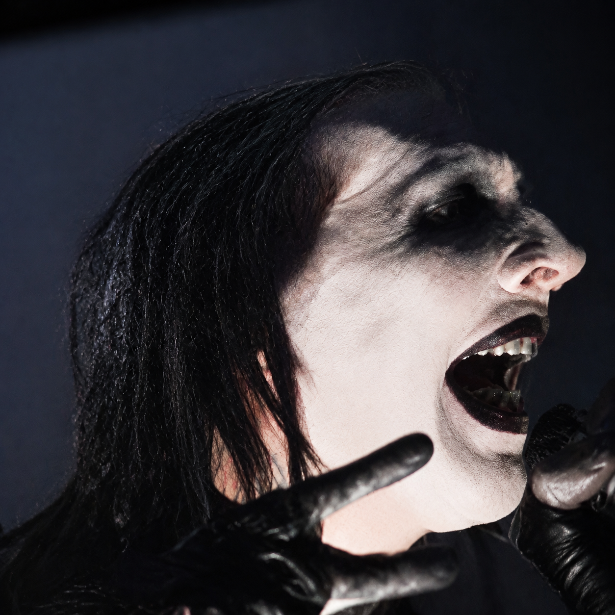 Marilyn Manson live at Darien Lake concert photo 63