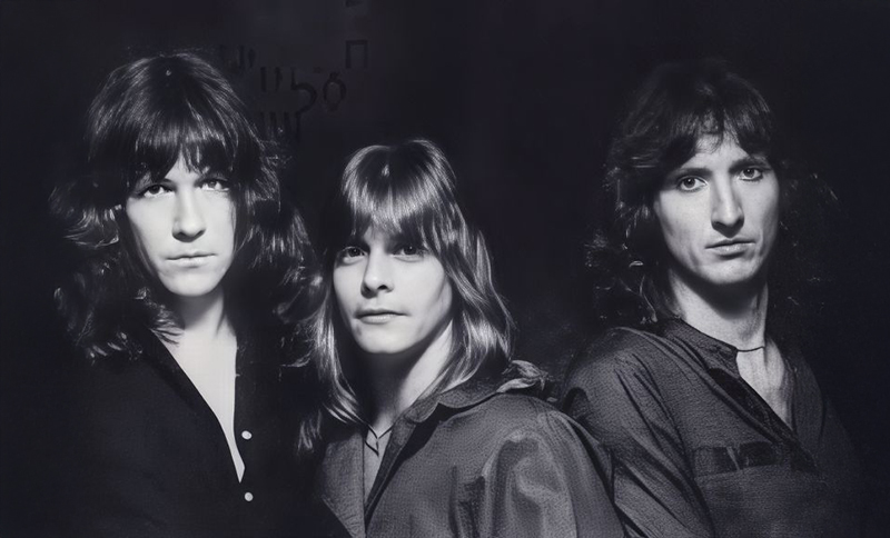 Zebra original lineup